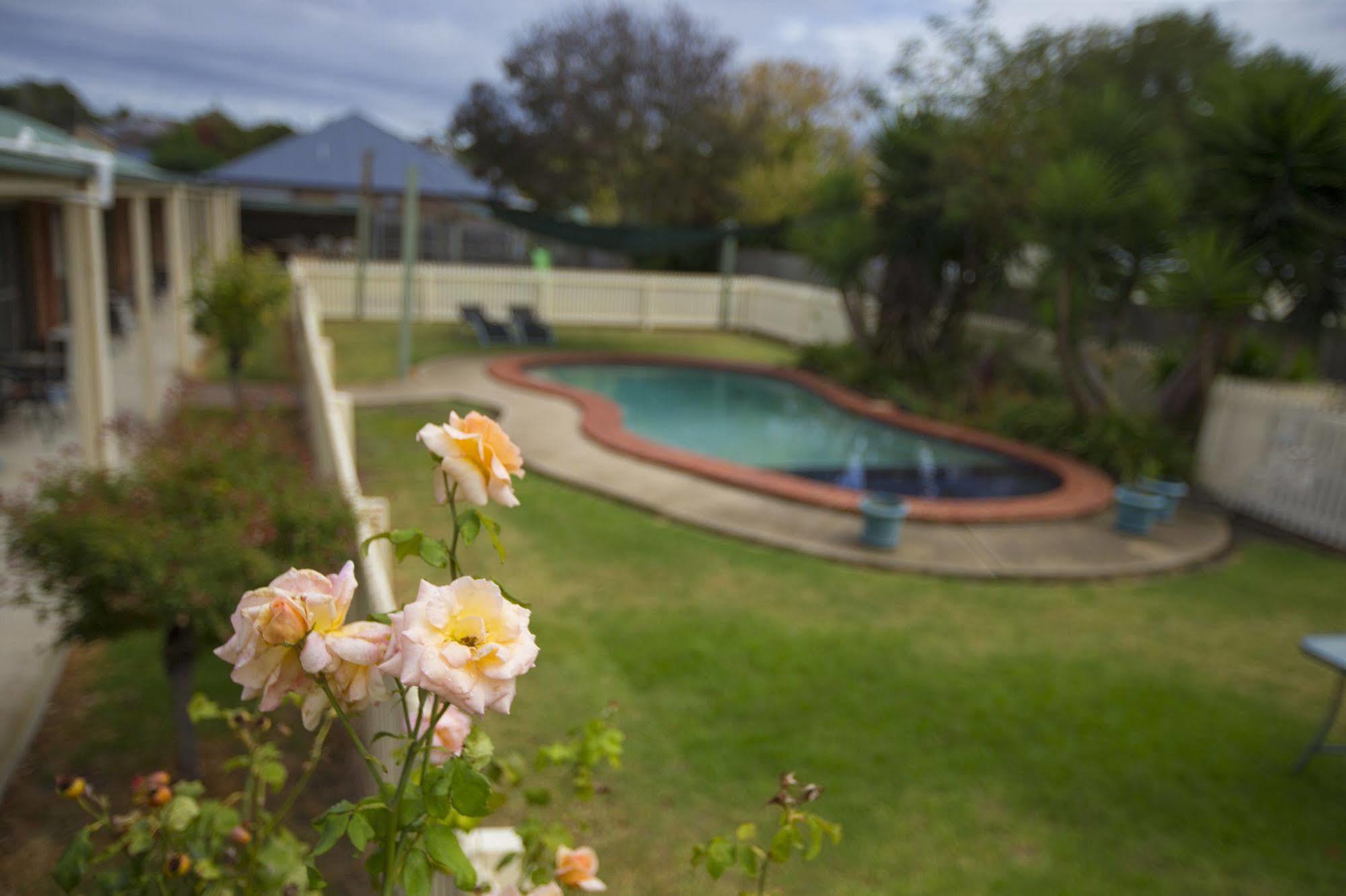 Rose Garden Motel Geelong Exterior foto
